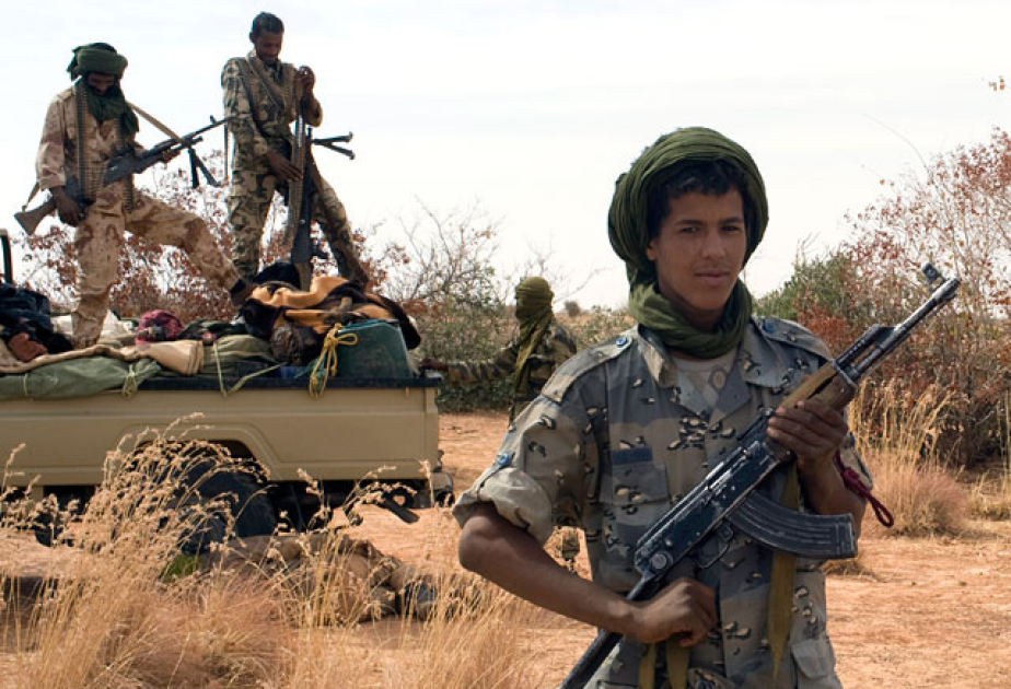 Mali ordusu ölkənin cənub-qərbində terrorçuların bir neçə bazasını məhv edib