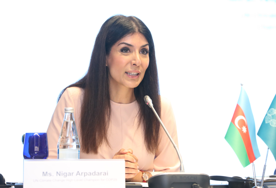 Nigar Arpadarai: COP29-un uğuru üçün təkcə dövlət deyil, şirkətlər də çalışmalıdırlar