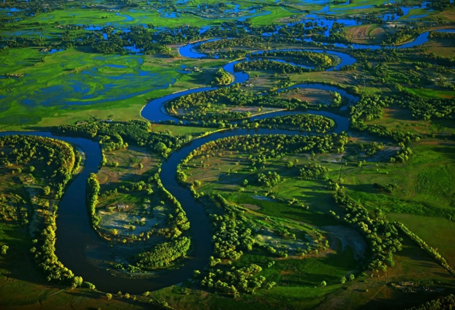 Les principales percées scientifiques du mois de juillet dévoilées, des frontières de l’espace aux forêts tropicales
