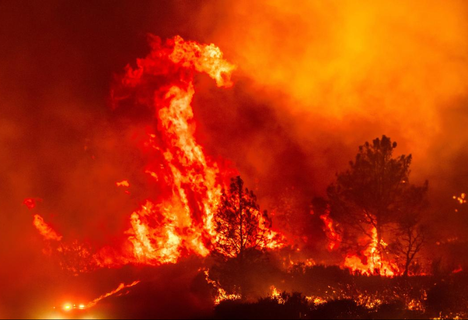 Kalifornien: Tausende Menschen wegen "Park Fire" in Sicherheit gebracht