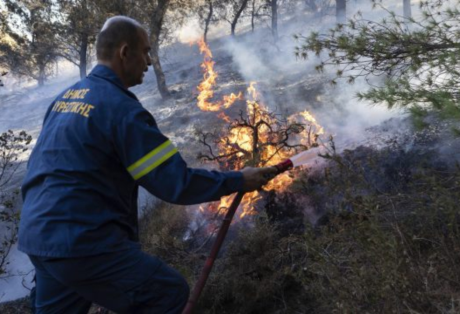 Waldbrände: Feuer auf griechischer Insel Euböa breiten sich aus