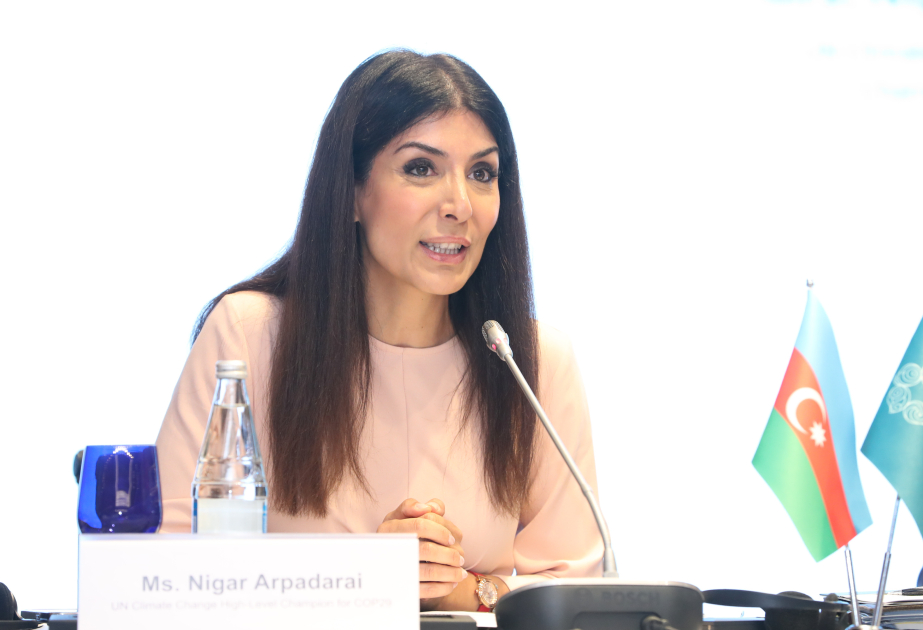 Nigar Arpadarai: "Para el éxito de la COP29, no sólo el Estado, sino también las empresas deben intentar organizar el evento"