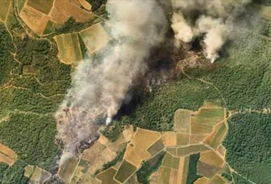 France : les flammes ravagent 65 hectares de zones forestières