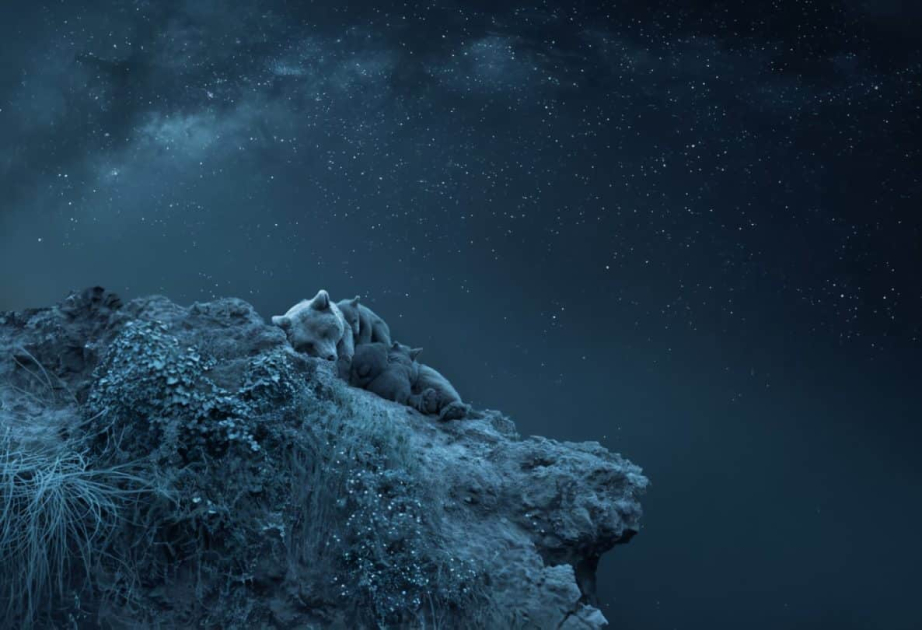Объявлены финалисты премии Siena Creative Photo Awards 2024
