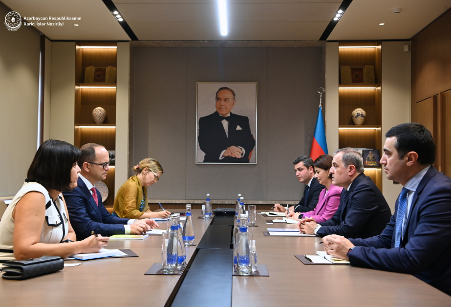 El Canciller de Azerbaiyán se reúne con el Jefe de la Misión de Observación Electoral de la OSCE/OIDDH