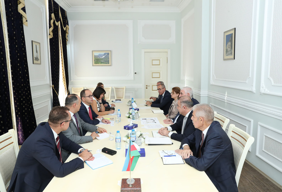 El Jefe de Comisión Electoral Central se reunió con el Jefe de la Misión de Observación Electoral de la Oficina de Instituciones Democráticas y Derechos Humanos de la OSCE