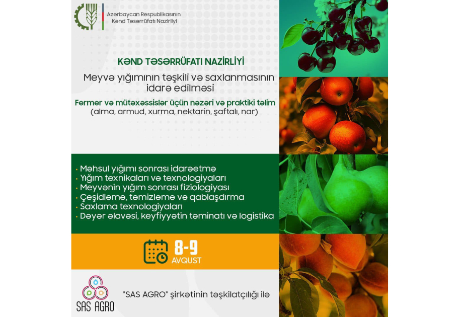 Fermerlər üçün meyvə yığımının təşkili və saxlanmanın idarə edilməsi üzrə təlim keçiriləcək