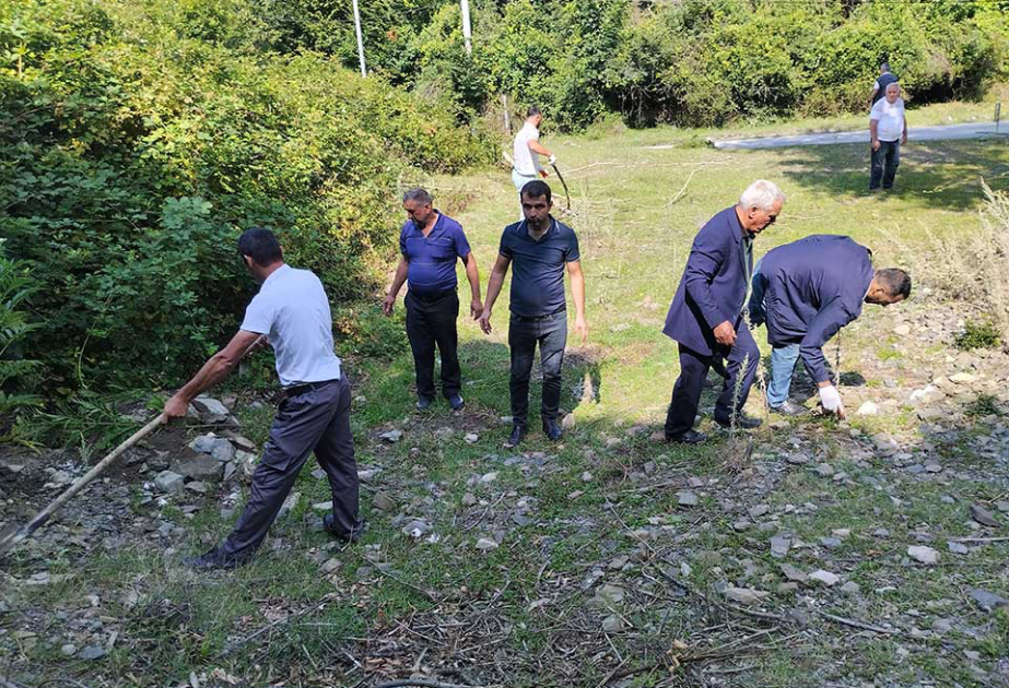 Ümumrespublika Təmizlik Marafonu çərçivəsində Qəbələdə iməcilik aksiyası keçirilib