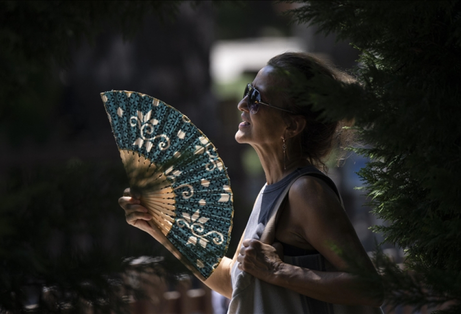 Extreme heat kills 14 in South Korea this year