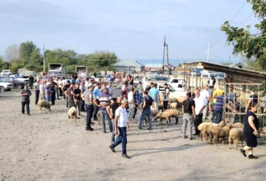 Bakıda və bir sıra rayonlarda heyvan satışı bazarlarında monitorinqlər aparılıb