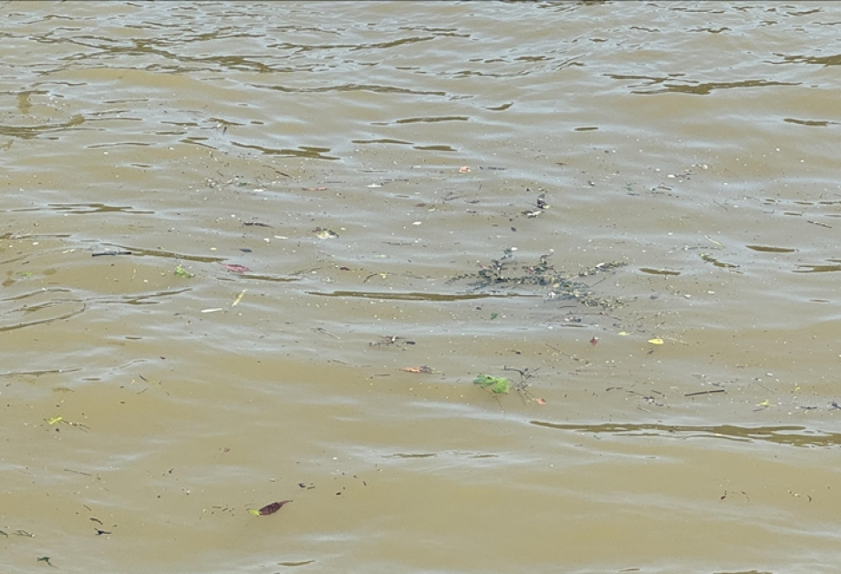 Pollution levels in Seine River allegedly exceed Olympic data: Report