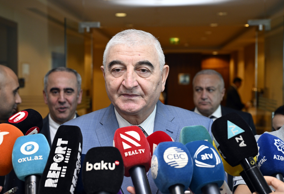 Mazahir Panahov: Azerbaijan’s CEC maintains fruitful cooperation with OSCE Office for Democratic Institutions and Human Rights