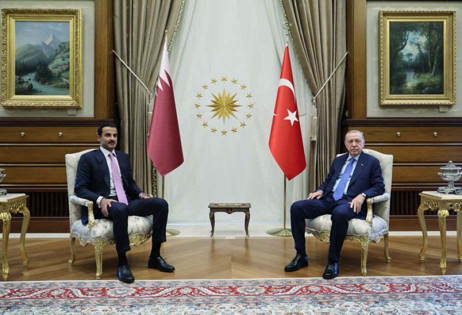 رئيس تركيا وأمير قطر يناقشان الوضع الحالي في الشرق الأوسط