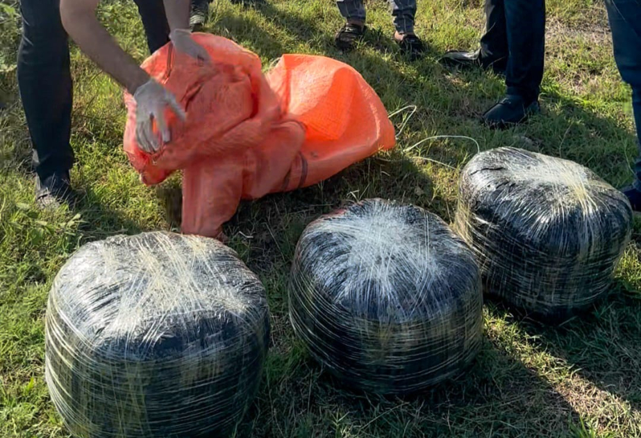 Lənkəranda 18 kiloqram narkotik vasitə dövriyyədən çıxarılıb