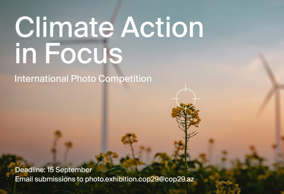 Climate action in focus: COP29 Azerbaijan Operating Company launches international photo competition