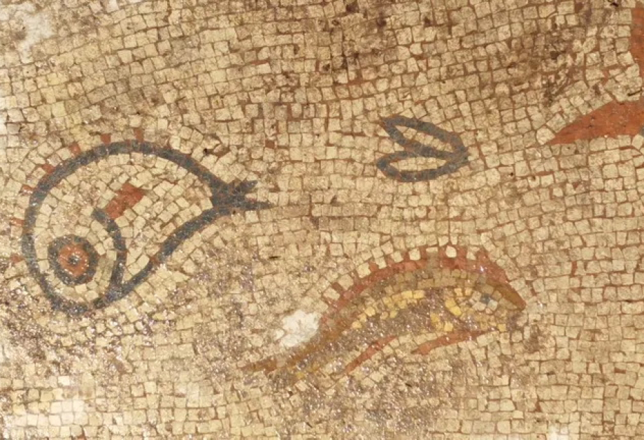 Römisches Mosaik mit Delfinen in England entdeckt