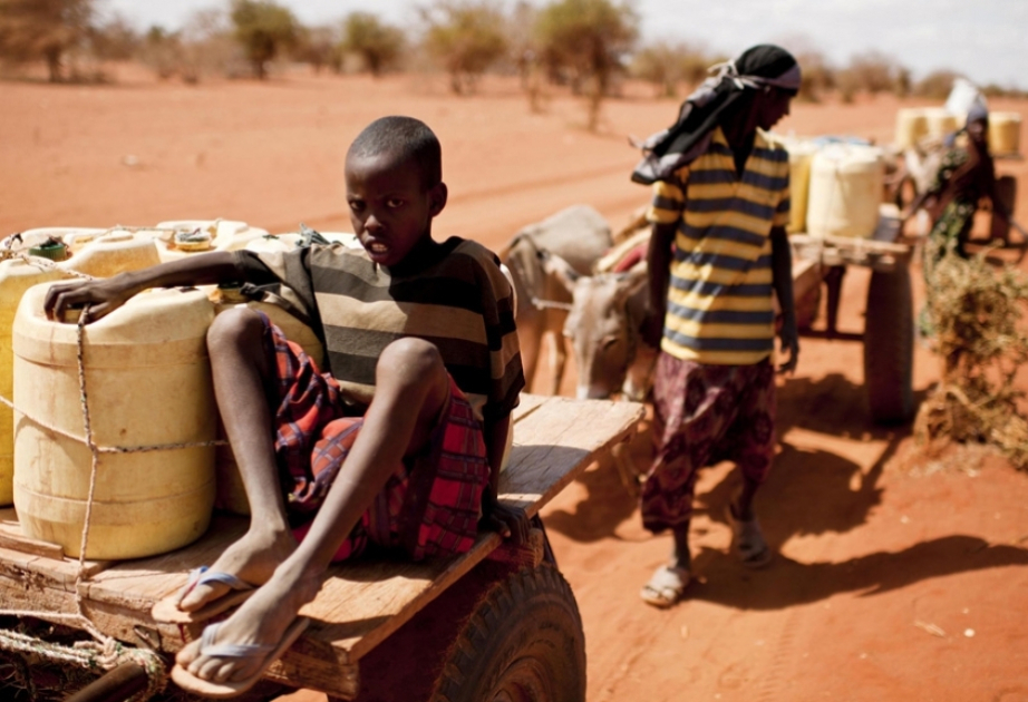 Almost half a billion children live in areas experiencing at least twice as many extremely hot days as their grandparents – UNICEF