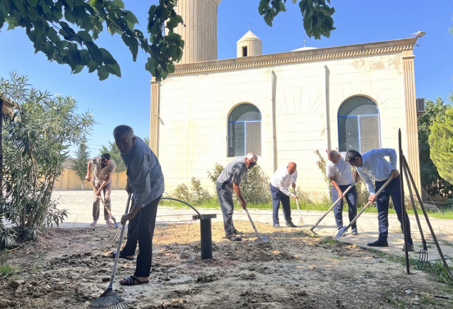 “Yaşıl gələcək naminə” aksiyası Sumqayıtda və Abşeronda davam etdirilib