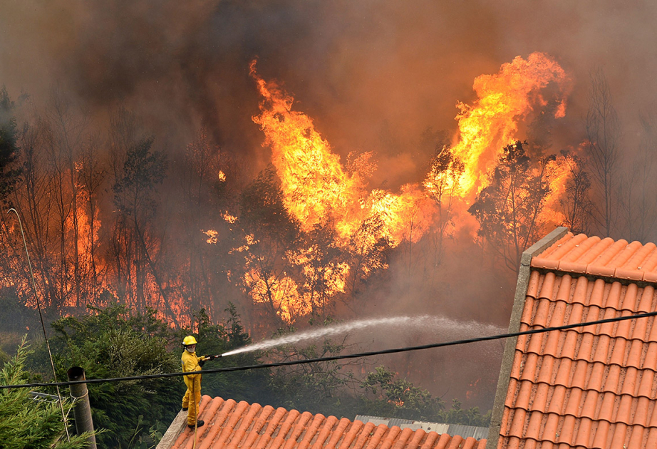 Portugal intenta extinguir un incendio forestal