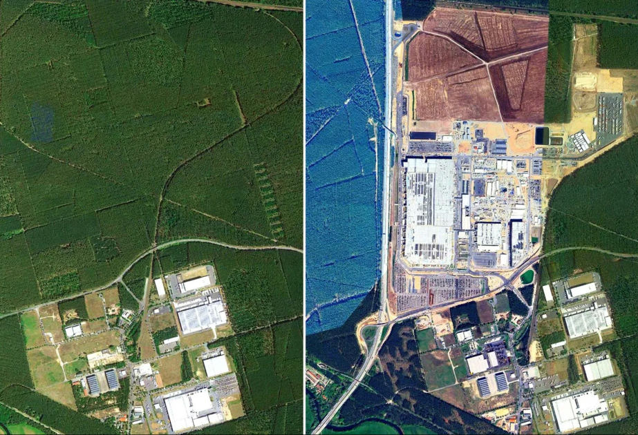 На месте строительства гигафабрики Tesla вырублено около 500 тысяч деревьев