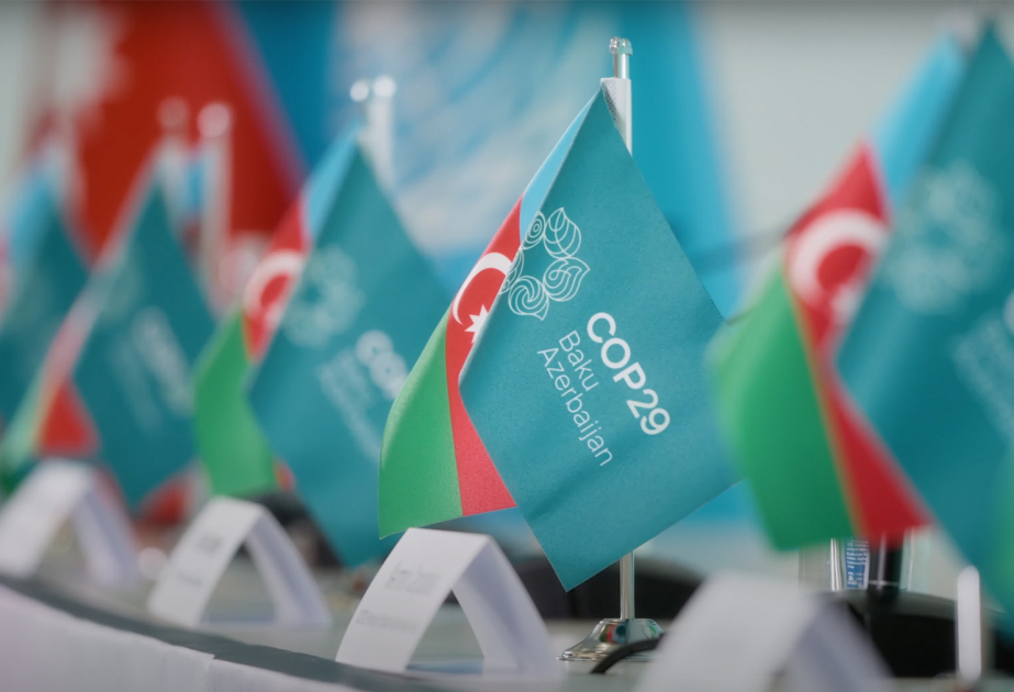 COP29: Azərbaycan iqlim dəyişikliyi ilə mübarizəyə öz töhfəsini verir
