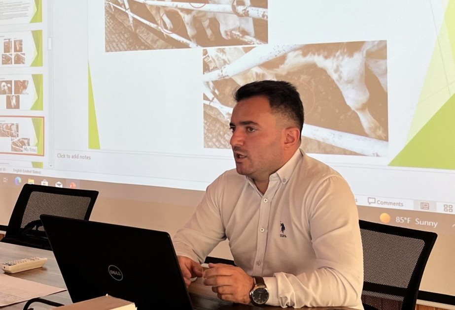 Aqrar Sığorta Fondunda heyvandarlıq ekspertləri üçün təlimlər keçirilir