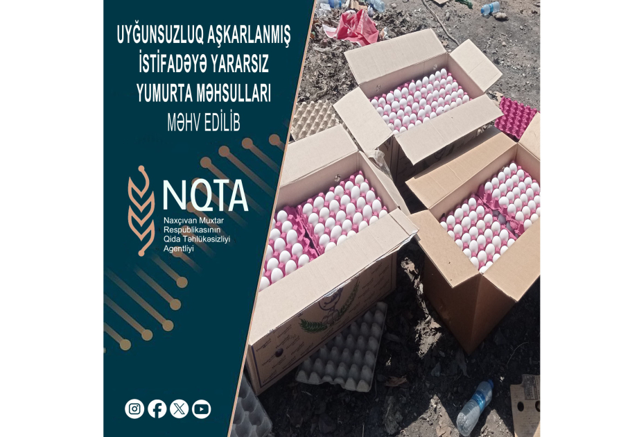 Naxçıvanda 493 qutu yararsız yumurta məhv edilib