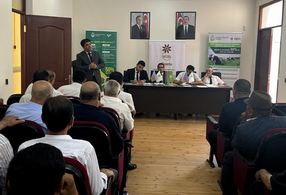 Kartofçuluqla məşğul olan sahibkarlarla suvarma və sığortaya dair fikir mübadiləsi aparılıb