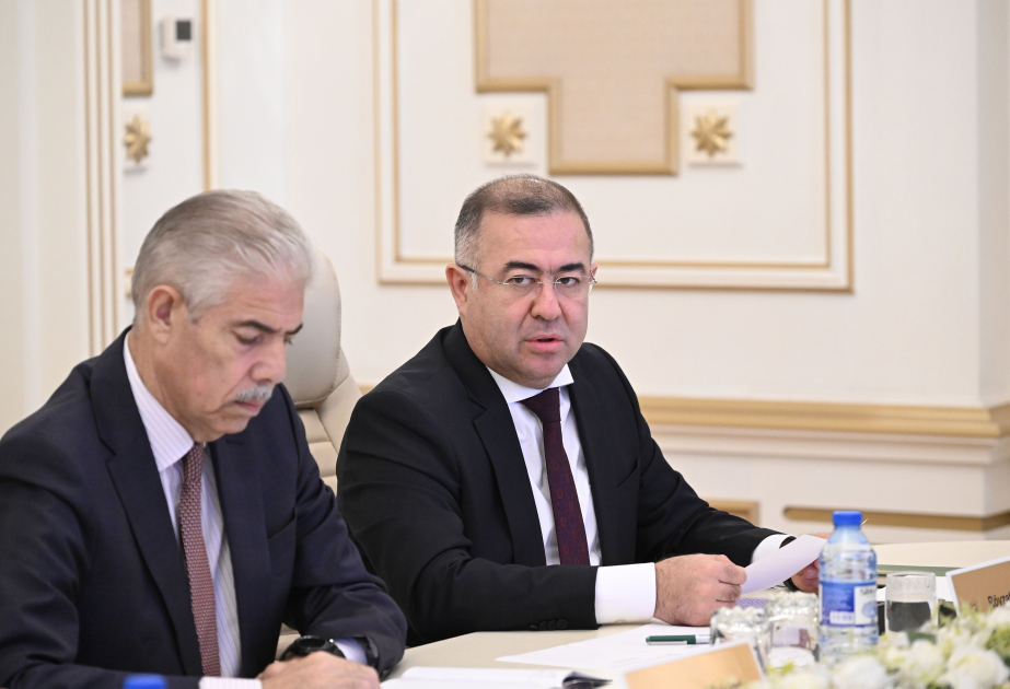 Rövzət Qasımov: Seçkilərlə əlaqədar bütün maarifləndirmə tədbirləri yekunlaşıb