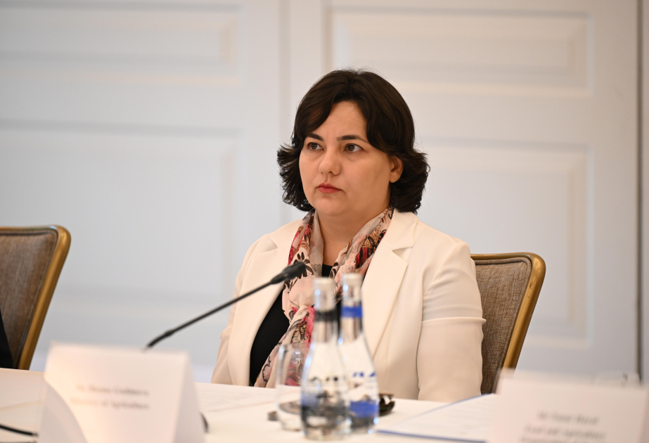 Nazir müavini: Son 5 ildə suvarma sistemlərinin qurulmasına 93,3 milyon manat subsidiya ayrılıb
