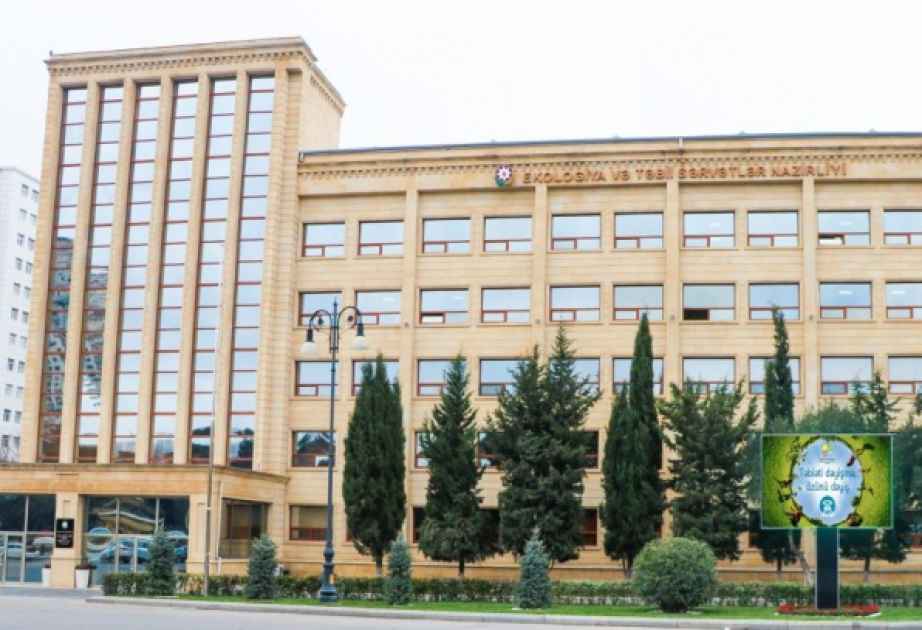 Bəhruz Məmmədov: Kəlbəcər rayonunda dağ keçilərinin vurulması ilə bağlı yayılan görüntülər araşdırılır