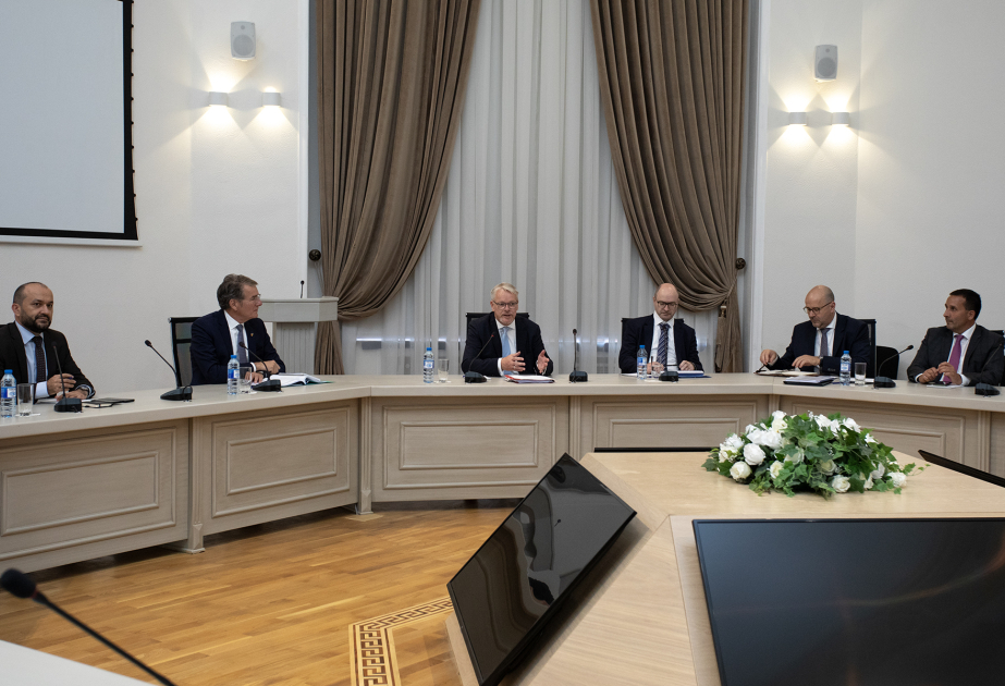 Almaniya şirkəti ilə bərpaolunan enerji sahəsində əməkdaşlıq məsələləri müzakirə edilib