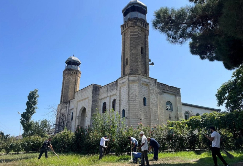 “Yaşıl gələcək naminə” aksiyası Xaçmaz və Şabran rayonlarında davam etdirilib
