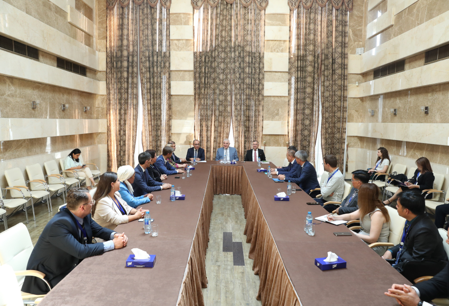 Məzahir Pənahov bir neçə ölkənin Mərkəzi Seçki Komissiyasının üzvləri ilə görüşüb