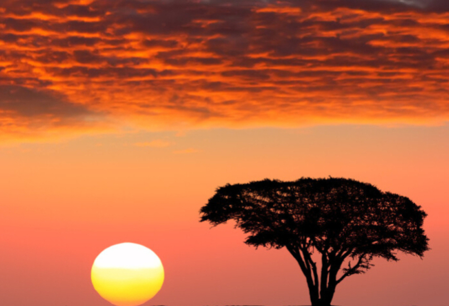 L’Afrique pâtit de manière disproportionnée du changement climatique et des coûts de l’adaptation