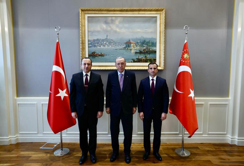 Türkiyə Prezidenti Rəcəb Tayyib Ərdoğan Azərbaycan nümayəndə heyətini qəbul edib