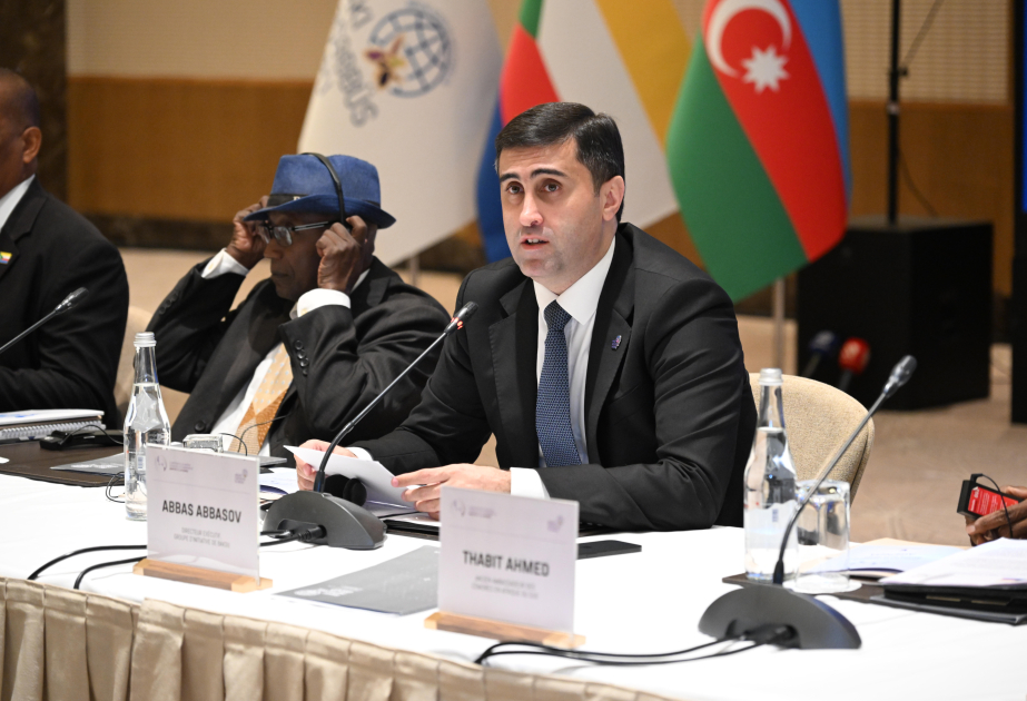 Abbas Abbasov: Bakuer Initiativgruppe hat im vergangenen Jahr 16 internationale Veranstaltungen organisiert