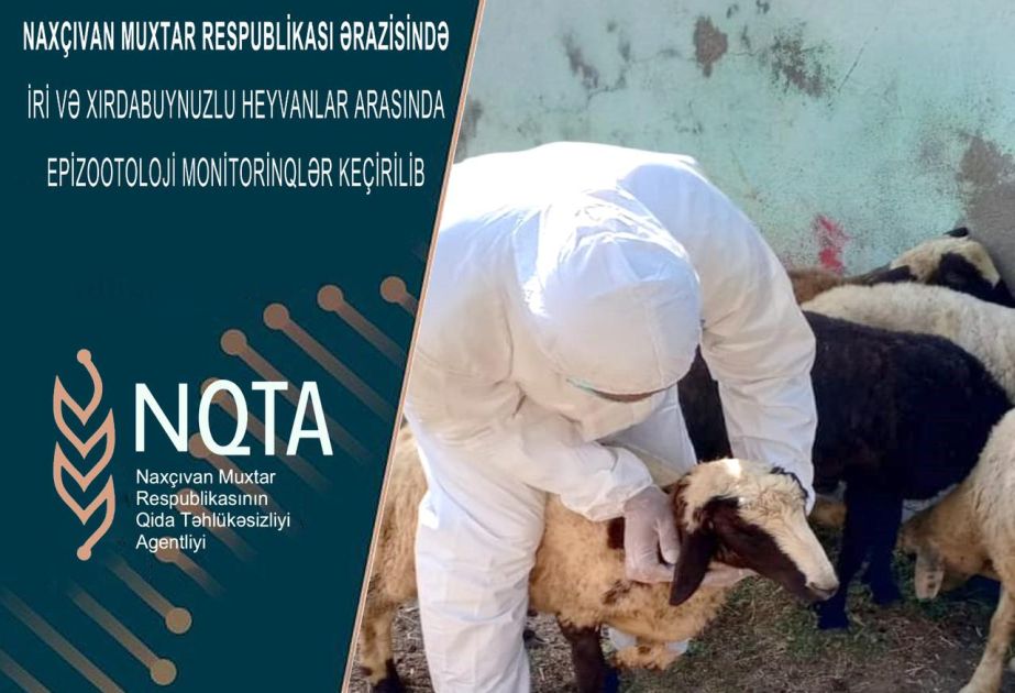 Naxçıvan Muxtar Respublikasında epizootoloji monitorinqlər keçirilib