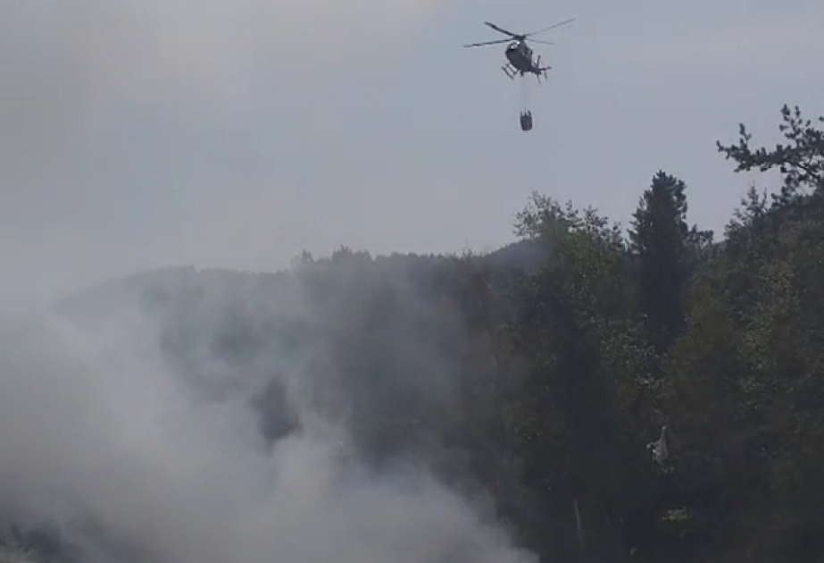 Bosniya və Herseqovinada meşə yanğınları baş verib