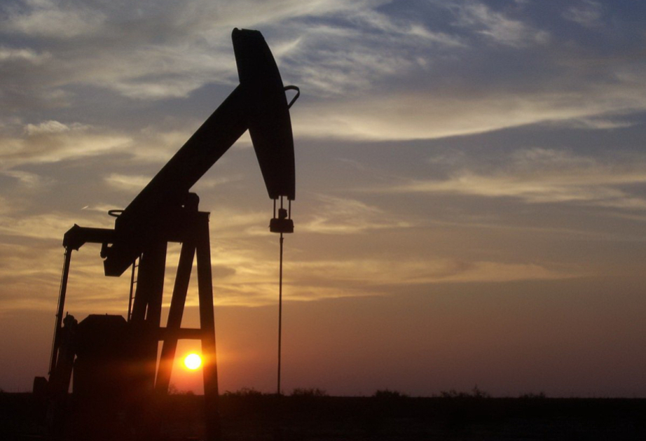 Preis von Azeri light leicht zugelegt