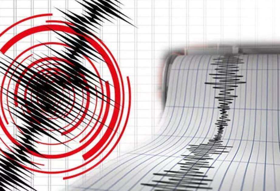 盖戈里区发生地震