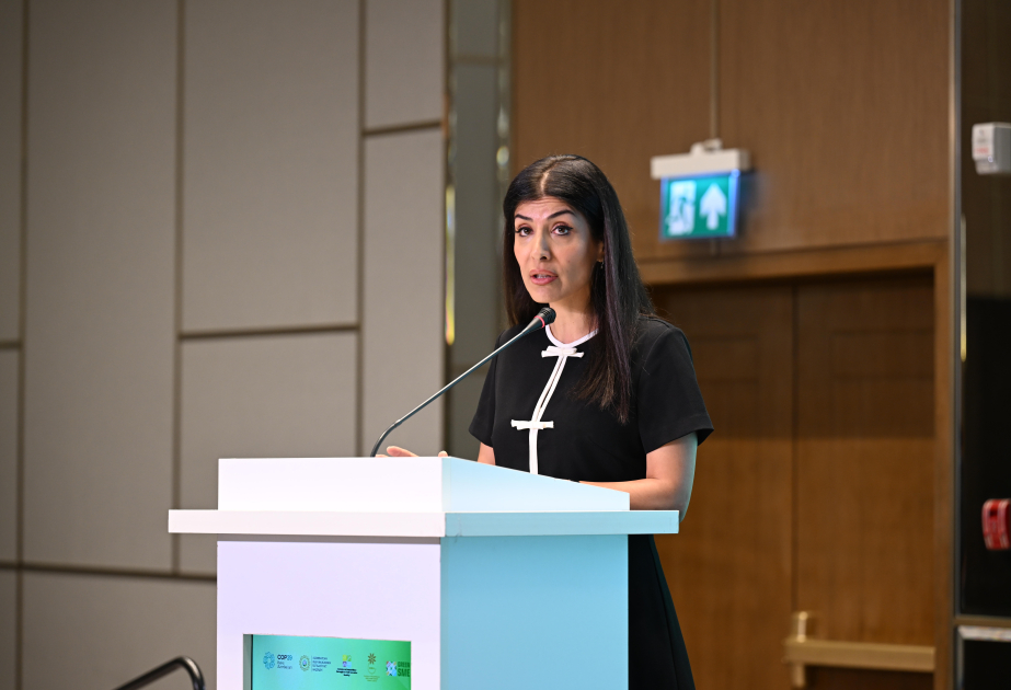 Campeona de alto nivel de la ONU sobre el clima en la COP29: "La transición hacia una economía verde creará grandes oportunidades para las empresas"