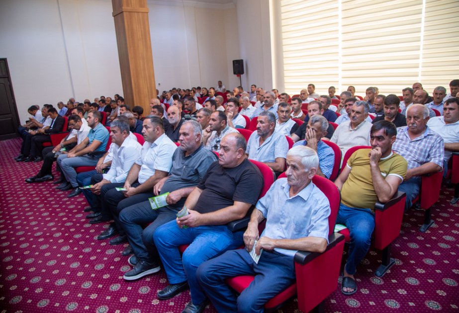 Dövlət dəstəyi aqrar sığortanı hər bir fermer üçün əlçatan edib – Salyanda fermerlərlə görüş