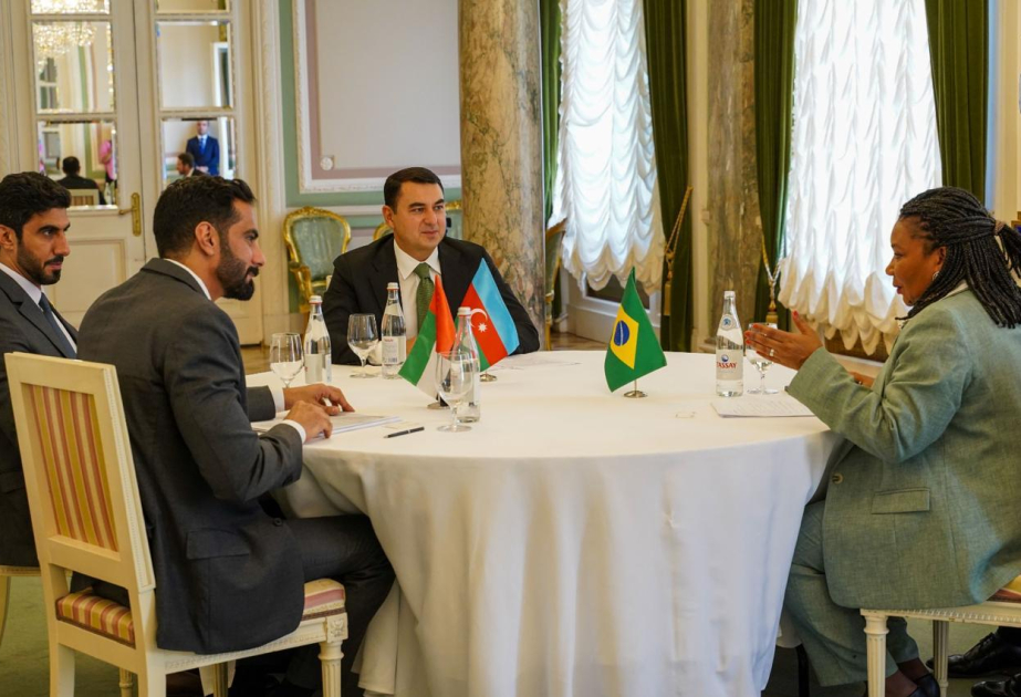 COP29: Azərbaycan, BƏƏ və Braziliyanın mədəniyyət nazirləri Sankt-Peterburqda görüşüblər