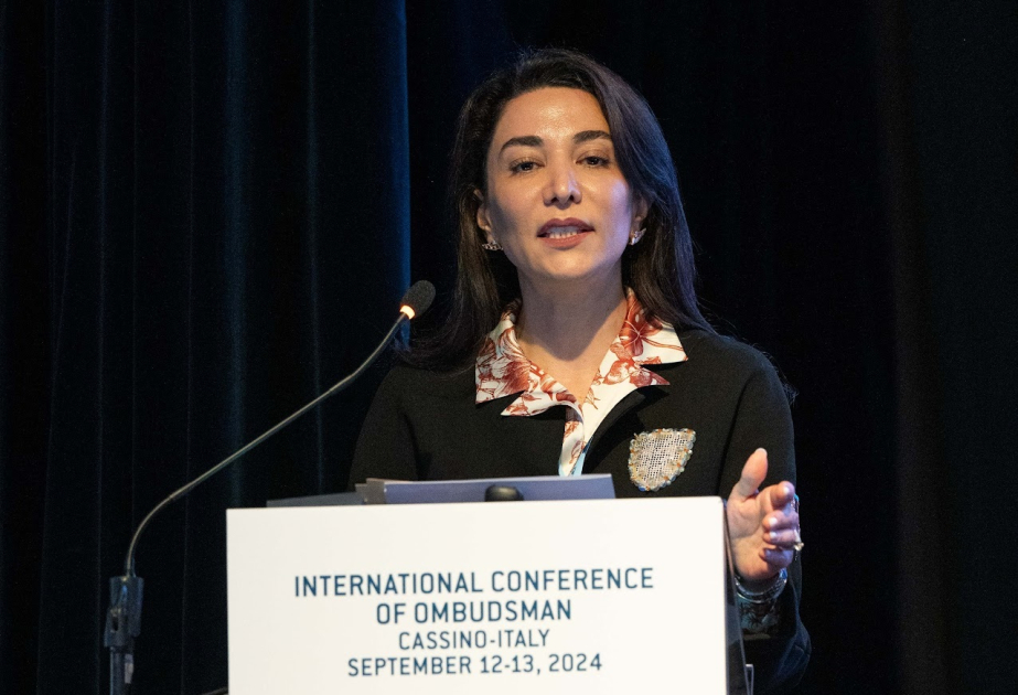 En la Conferencia Internacional se proporciona información sobre el terror de minas llevado a cabo por Armenia en territorios de Azerbaiyán