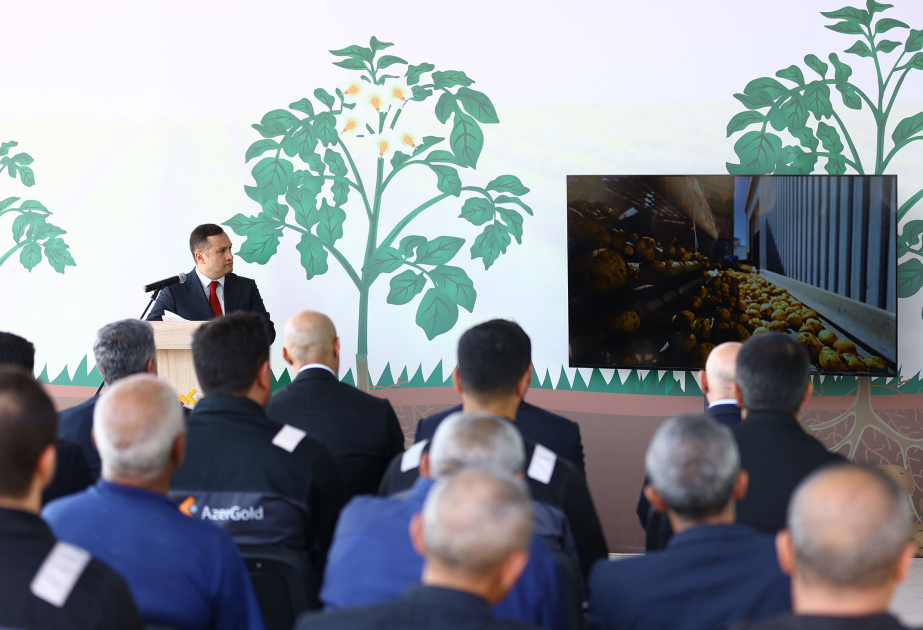 Support for the Development of Potato Farming in Dashkasan Project of AzerGold CJSC finished successfully
