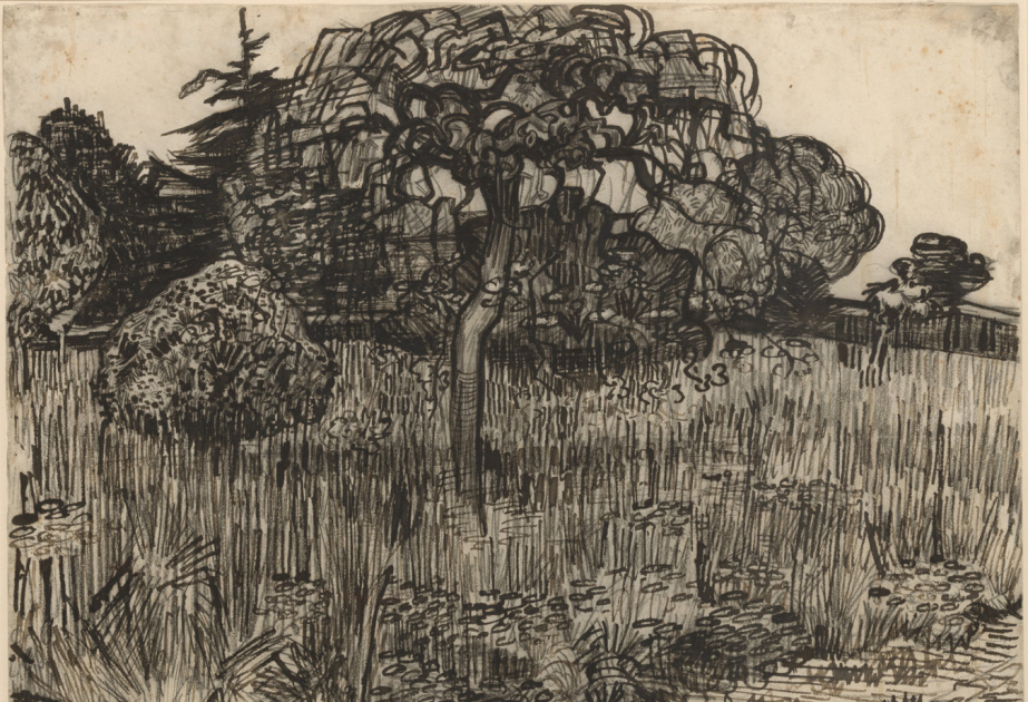 Vincent van Gogh exhibition marks 200th anniversary of National Gallery