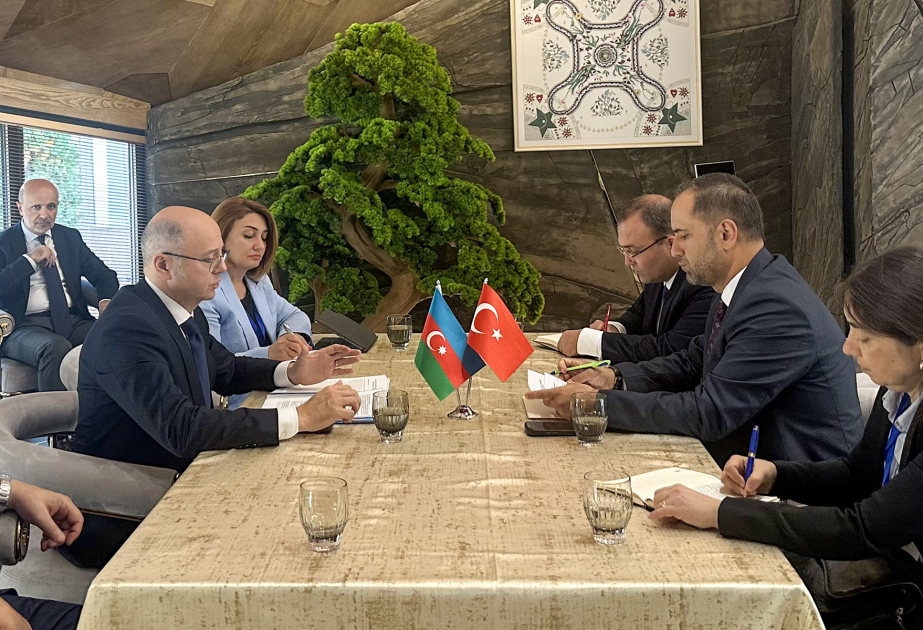 Qırğızıstan Avropaya yaşıl enerjinin ixracı üzrə Azərbaycan, Qazaxıstan və Özbəkistan əməkdaşlığına qoşulmaq istəyir