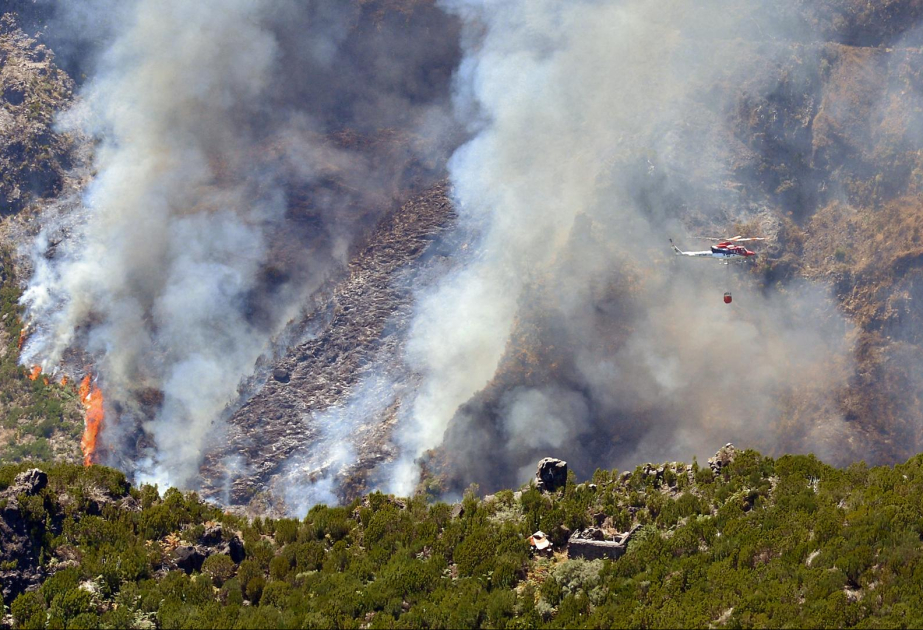 3 Tote bei Waldbränden in Portugal