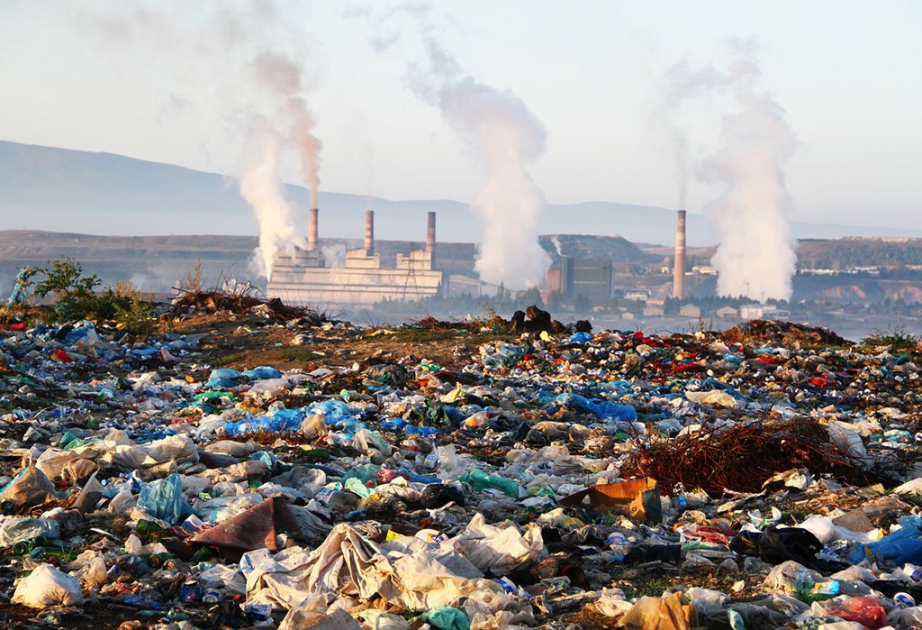 Мировые расходы на субсидии, наносящие вред окружающей среде, выросли до 2,6 трлн долларов